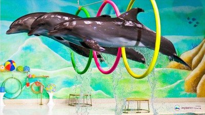 Dolphin show in Belek