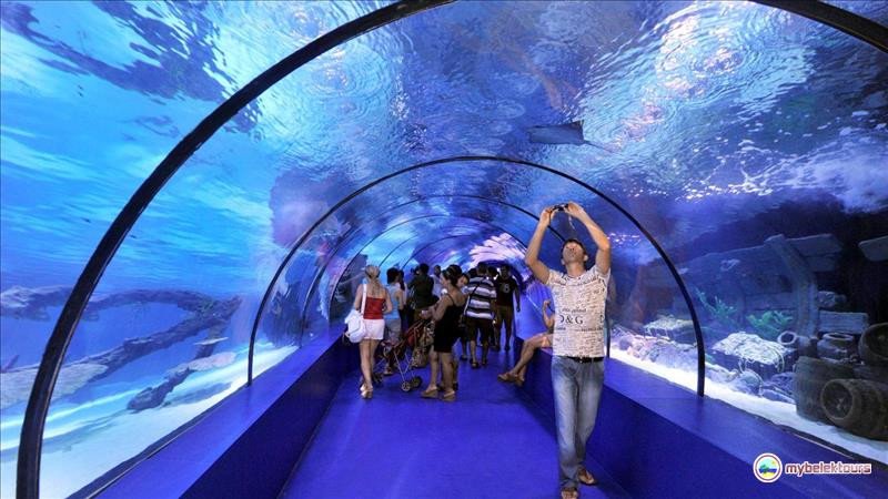 Tour of the Oceanarium in Antalya from Belek
