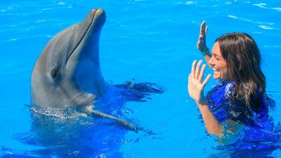 Swimming with dolphins in Belek
