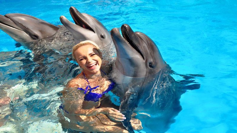 Swimming with dolphins in Belek