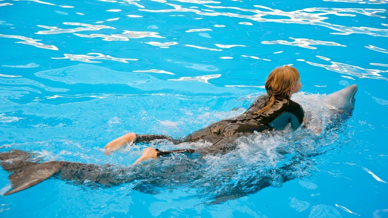 Плавание с дельфинами в Белеке