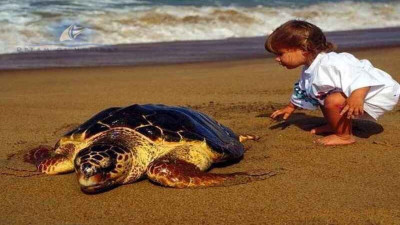 Belek turtles beach boat trip
